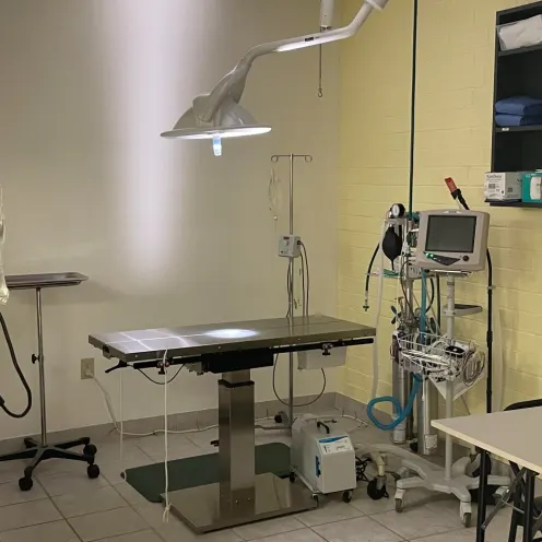 Surgical Suite at Cat Clinic of Greensboro